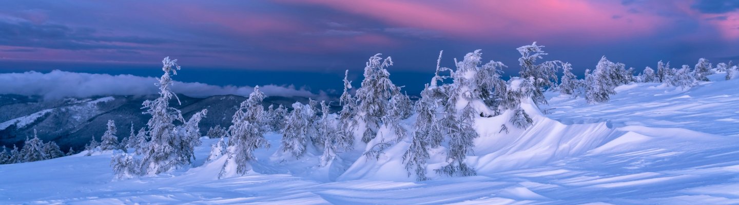 A snowy mountain surrounded by trees under a soft pink sky at dusk.