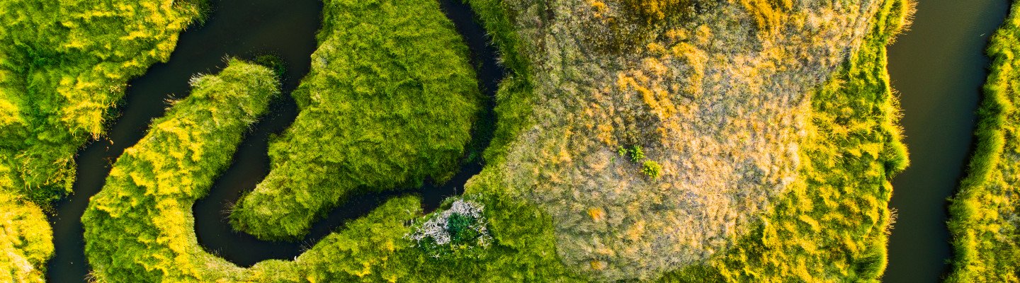 Aerial of a winding river through a forest